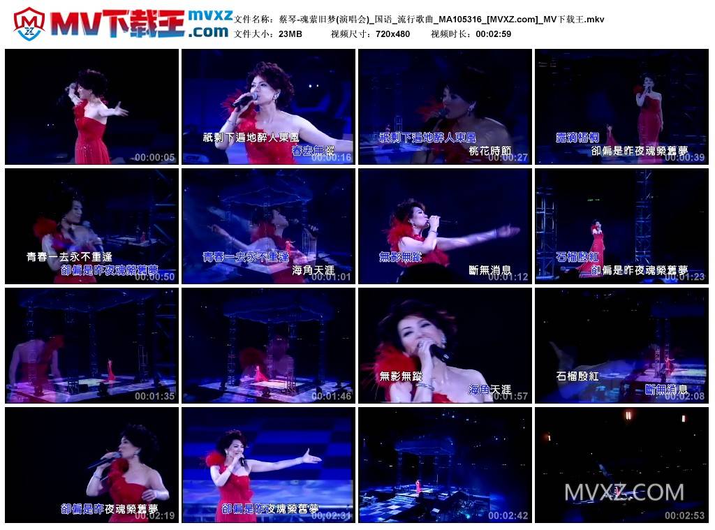 蔡琴-魂萦旧梦(演唱会)_国语_流行歌曲_MA105316